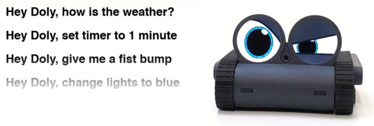 hey Doly voice interactions