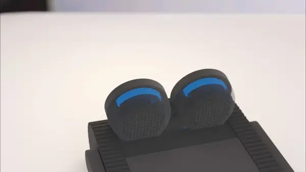 Doly capacitive touch sensors